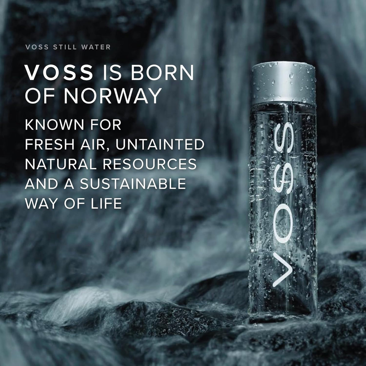 Voss Still Water 800ml X 12 Box Glass bottle